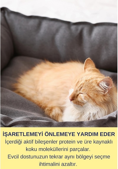 Resteril Pet Koku  Kedi si Köpek Yatağı Dezenfektan Etkiili Yüzey Temizleyici 2 x 750 ML