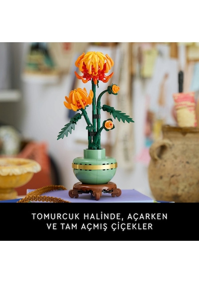 LEGO® Botanicals Krizantem 10368 – Yetiskinler için Pastel Yesil Saksi Içeren Dekoratif Çiçek Modeli Yapim Seti (278 Parça)