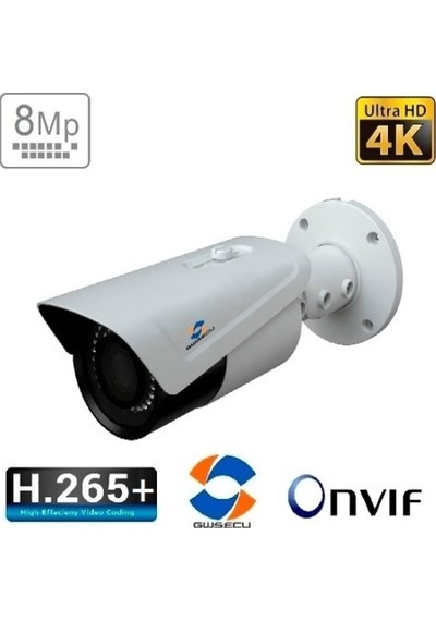 Gwsecu Kd-Mp78Ac71-P Güvenlik Kamerası