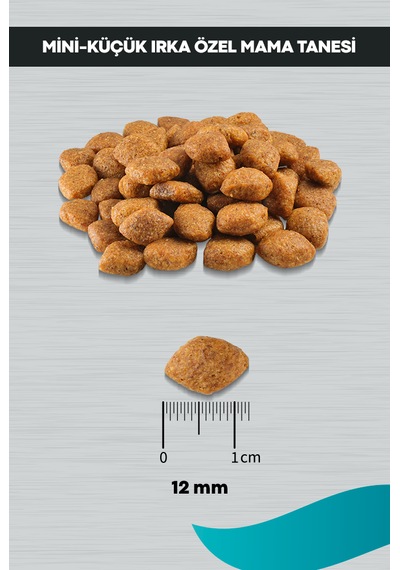 Peritas Signature Kuzulu Küçük Irk Yetişkin Köpek Maması 3 KG