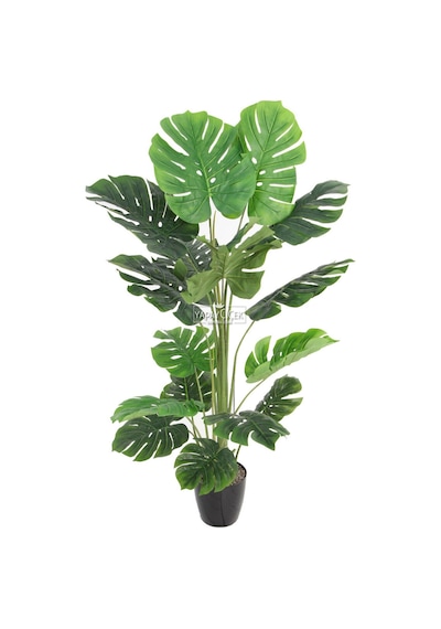 Yapay Deve Tabanı Ağacı Monstera Ağacı Gerçek Dokulu 16 Yapraklı 150 Cm