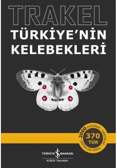 Trakel - Türkiye'nin Kelebekleri - Aıaı-894177