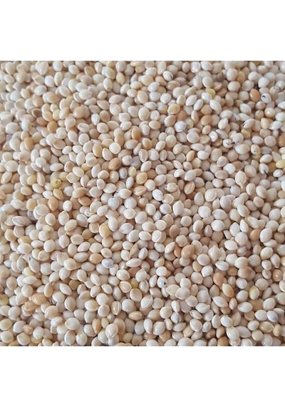 Ak Darı Muhabbet Kuşu Yemi 1 KG