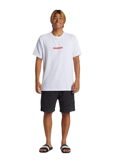 Quiksilver Aqyzt09602 Qs Clicker Logo Dna Erkek Tişört 001