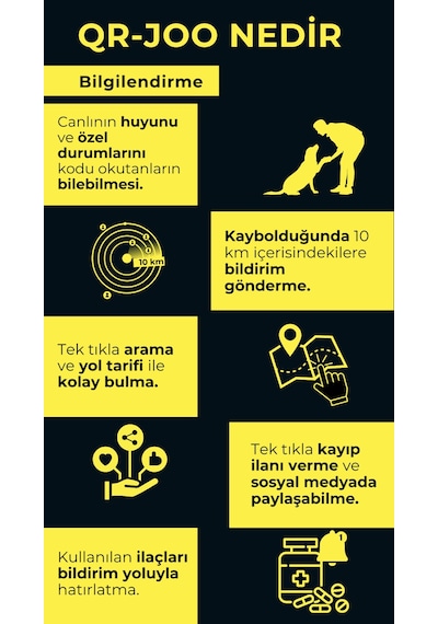 Petjoo 29.Foks Gri-Mavi Qr'lı Köpek Künyesi