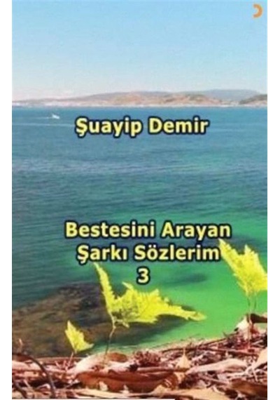 Bestesini Arayan Şarkı Sözlerim 3 / Şuayip Demir