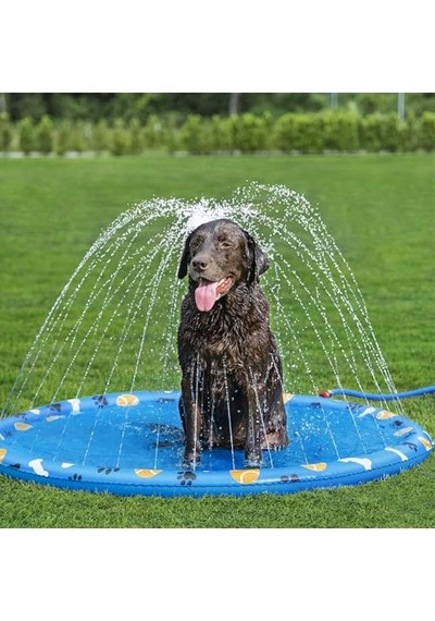 Bestway Evcil Hayvanlar İçin Pati Su Matı, Çap 147 Cm, Kaymaz Yüzey, Su Fıskiyesi, Bahçe Hortumu Bağlantısı, Dayanıklı Pvc, Onarım Yamaları Dahil