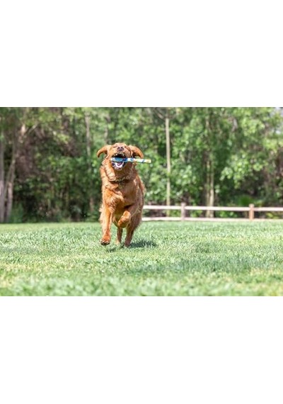 Chuckit Eco Fetch Stick Doğa Dostu Köpek Oyuncağı