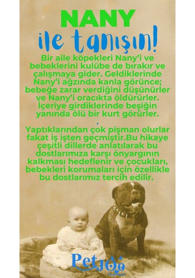 Petjoo 17.Nany Mavi-Yeşil Qr'lı Köpek Künyesi