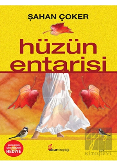 Hüzün Entarisi - Şahan Çoker - Okur Kitaplığı