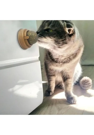 Mey İthalat Kedi Nanesi Oyun Topu