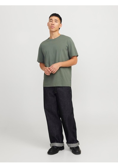 Jack & Jones Jjeorganıc Basıc Tee Ss O-neck Noos Green Renkli
