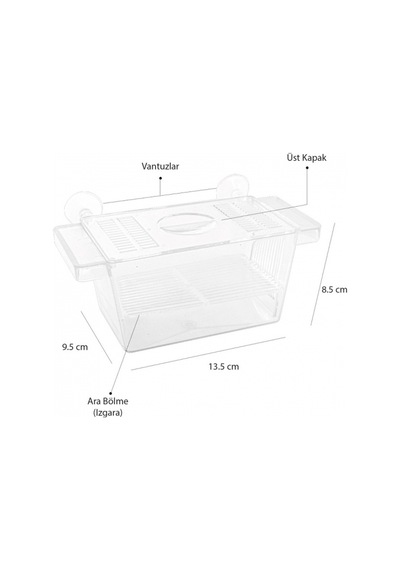 Atlantik Tekli Kristal Balık Yavruluk 13 5 Cm x 8 5 Cm