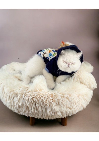 Teddy Roo Kapşonlu Kedi Sweatshirt Kedi Kıyafeti Kedi Elbisesi Kedi Giyim