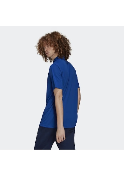 Adidas Erkek Polo Tişört Ent22 Polo Hg6285