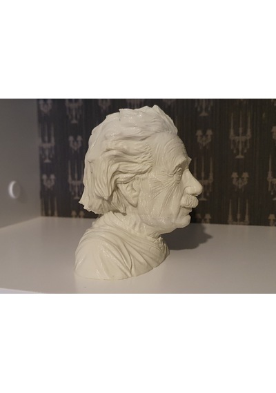 Albert Einstein Albert Eınsteın Büst 3D Baskı Figür Fıgure