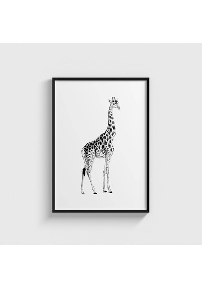 Giraffe Tablo Çerçeveli Poster Duvar Dekorasyonu Siyah Çerçeveli Tablo Siyah Çerçeveli Tablo Dn11d150sıyah