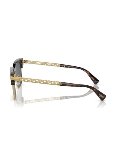 Versace 0ve4447 108/8755 Enjeksiyon Erkek Güneş Gözlüğü Kahverengi