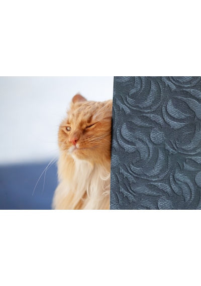 Tink 3d Kendinden Yapışkanlı Akustik Keçe Panel Modern Desenli 52x98 Cm 10 Adet 5 M² Koyu Gri