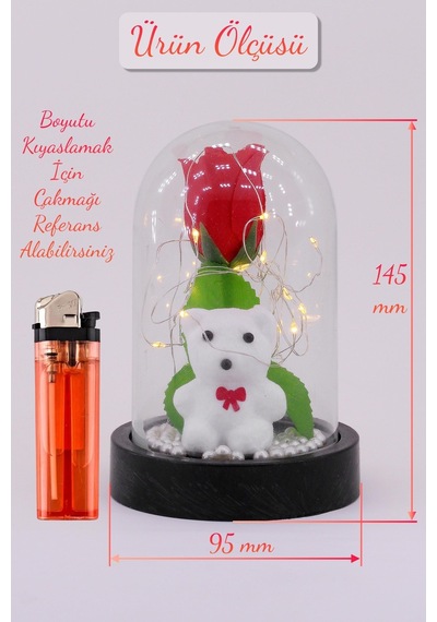 3 Modlu Led Işıklı Fanus İçinde Beyaz Ayıcık Detaylı Sevgiliye Hediyelik Dekoratif Gece Lambası