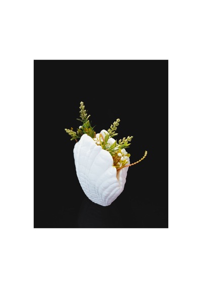Deniz Kabuğu Görünümlü Saksı Dekoratif 3d Özel Tasarım Premium Hediyelik Beyaz - 858785211