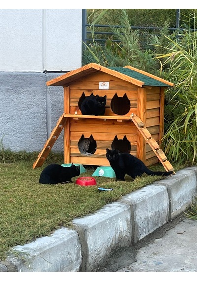 Pati Emlak Ahşap Kedi Evi Dış Mekan Kedi Kulübesi
