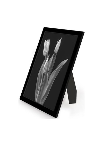 9x12 Picture Frame With Polished Plexiglass - Set Of 12 - Signature Collection - Picture Frames With Engineered Wood - Photo Frame For Tabletop And Wall Display - Black