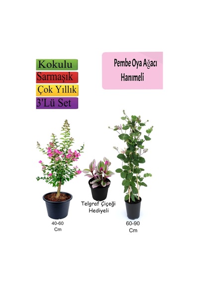 Pembe Oya Ağacı+ Hanımeli Çiçeği+ Telgraf Çiçeği Hediyeli