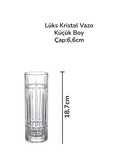 Kristal Cam Dekoratif Vazo 18,7 Cm Şeffaf Silindir Çiçek Vazosu Çap 6,5 Cm Çok Renkli