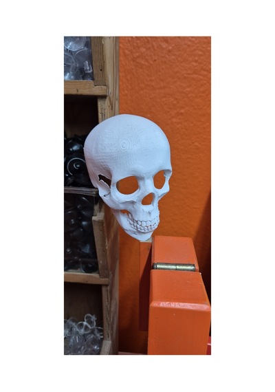 3d Akvaryum Dekoru Kuru Kafa