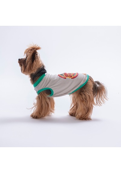 Grey-gri Good Vibes Tişört Kedi Köpek Tişörtü-kedi Köpek Kıyafeti