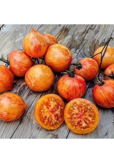 Kozula 133 Kalp Şeklinde Etli Domates Tohumu 15 Tohum