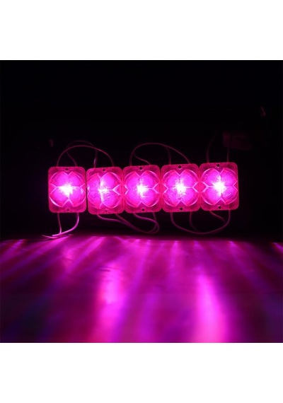 12v 2w Pembe Tekli Yonca Modül Led 20 Adet