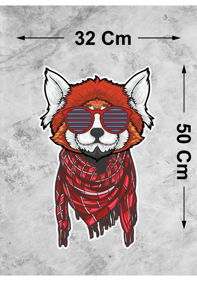 Gözlüklü Kedi Sticker - Araba Oto Motosiklet Karavan Cam Araç Sticker - 00296 50x32 Cm