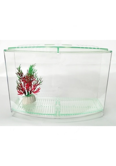 Bölmeli Izgaralı Betta Beta Kabı Tankı Akvaryum 1800 Ml - 19x8x13 Cm Yeşil