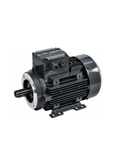 Elk 0.25 Kw 1/3 Hp 3000 D/d 3el063m2b-b14-ayaklı Flanşlı 380/400 Volt Trifaze Ie3 Elektrik Motoru