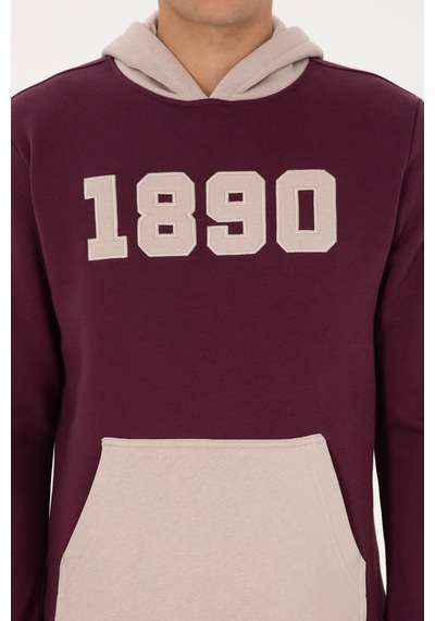 U.s. Polo Assn. Erkek Plum Sweatshirt 50316359-vr177 New Plum