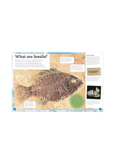 My Book Of Fossils: A Fact-filled Guide To Prehistoric Life