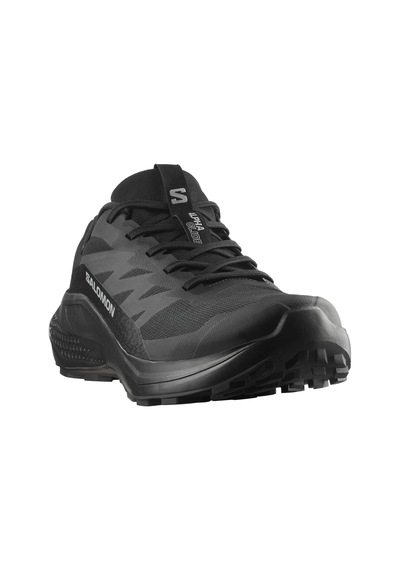 Salomon Alphaglide Gore-tex Erkek Patika Koşu Ayakkabısı-l47802100 Antrasit