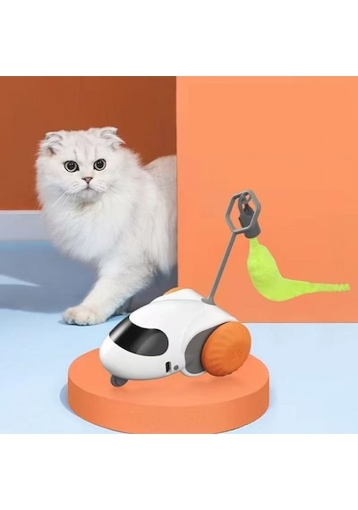Nunbell Kedi Oyuncagı Hareketli Araba