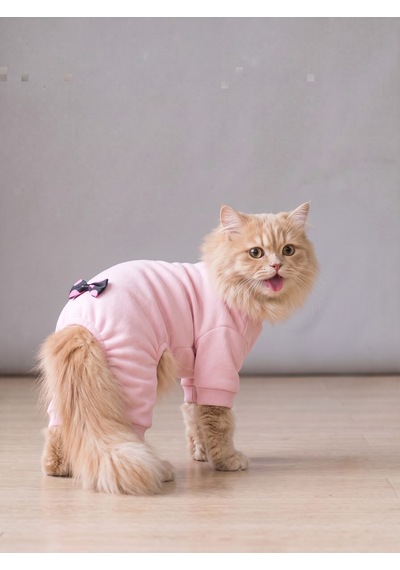 Pinkie Mouse Kedi Tulumu Pembe Kalın Penye Kedi Kıyafeti Sevimli Fare Ve Kurdele Detaylı