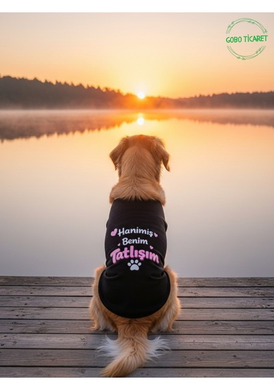 Siyah Hanimiş Benim Tatlışım Baskılı Kedi Ve Köpek Kıyafeti Tişörtü Elbisesi Medium/m/beden 2