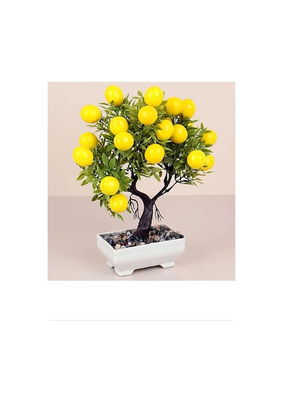 2 Li Set Premium 4.65 Akaju Kızıl Kestane - Kalıcı Krem Saç Boyası 2 X 50 G Tüp Renkli