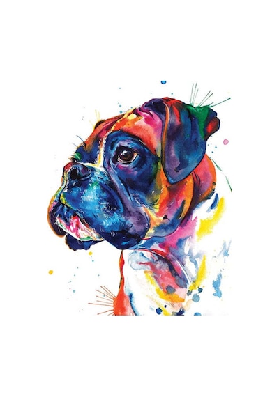Renkli Boxer Çerçevesiz 40x50 Sayılarla Boyama Hobi Seti Çok Renkli