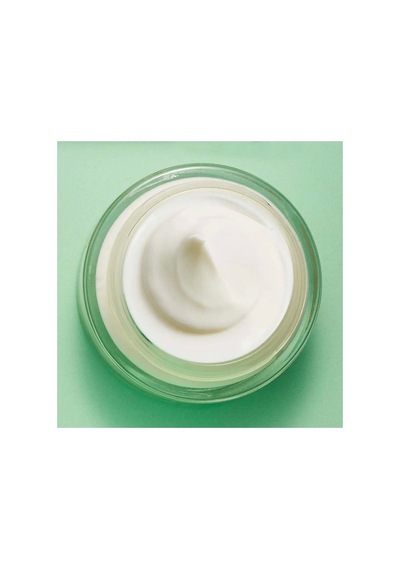 Yves Rocher Karma Ve Yağlı Cilt Dengeleyici Ve Matlaştırıcı Çinko Salislik Asit Jel Krem Sebo Pure Vegetal 50 Ml