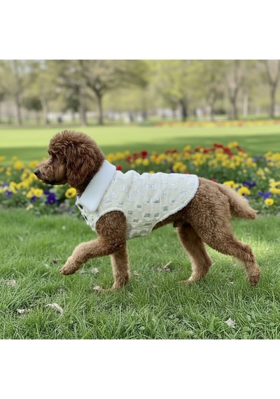 Kedi - Köpek İçi Polarlı Dışı Payetli Kışlık Kot Ceket - Mont - Yağmurluk - Yelek -kıyafet