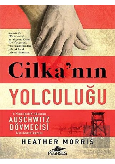 Cilka'nın Yolculuğu Pegasus Yayınları - Pegasus Yayınları