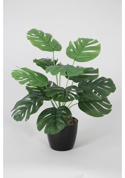 Yapay Devetabanı Monstera Bitkisi Siyah Saksıda 45 Cm