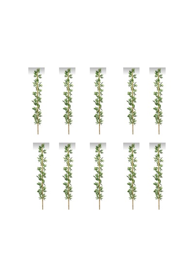 Rüzgar Yapay Çiçekçilik 220 Cm 10 Adet Bambu Yeşil