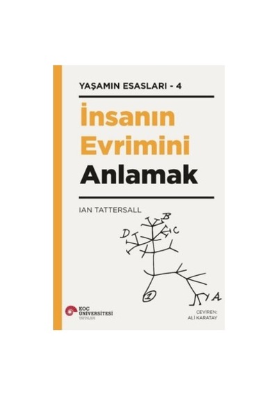 İnsan Evriminin Temel Aşamaları Ve Anlamı
